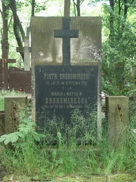 Zdjęcie grobu Piotr Drohomirecki (2)