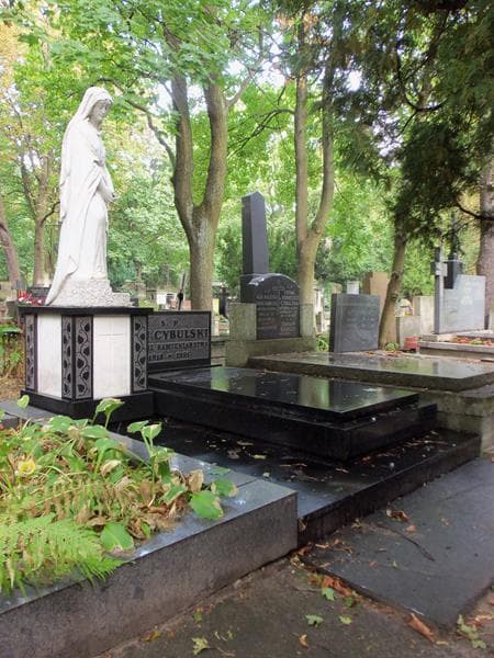 Zdjęcie grobu Jan Cybulski (1)