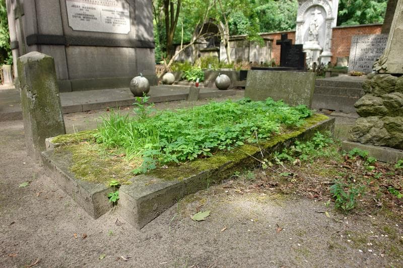 Zdjęcie grobu Leon Nadolski (1)