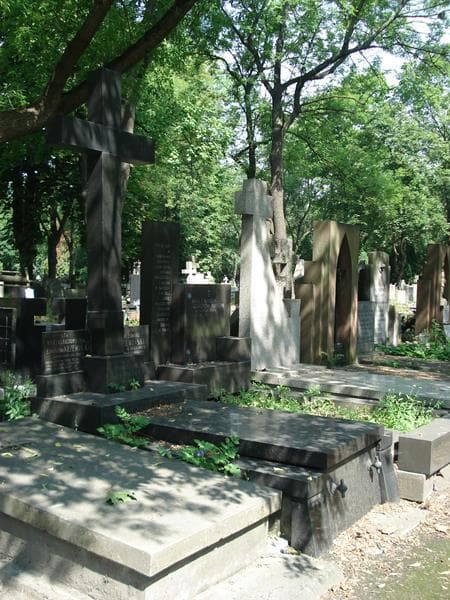 Zdjęcie grobu: Marja Krzemińska