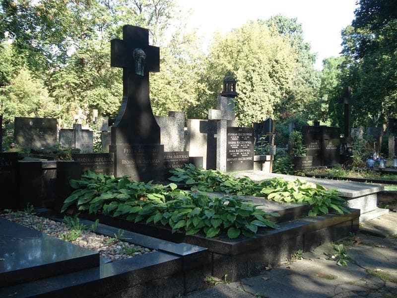 Zdjęcie grobu Ludwik Jarzębski (1)