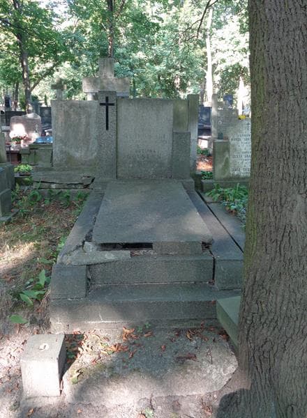 Zdjęcie grobu Karolina Golstyń (1)