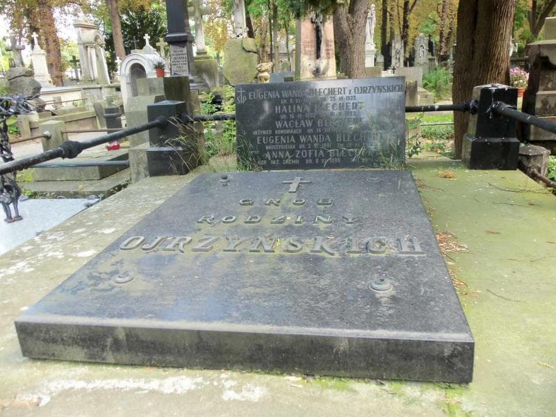 Zdjęcie grobu Ojrzyńscy (2)