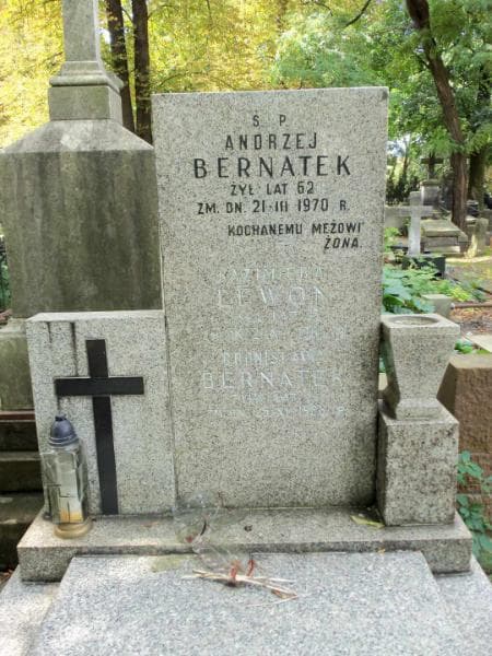 Zdjęcie grobu Bronisława Bernatek (2)