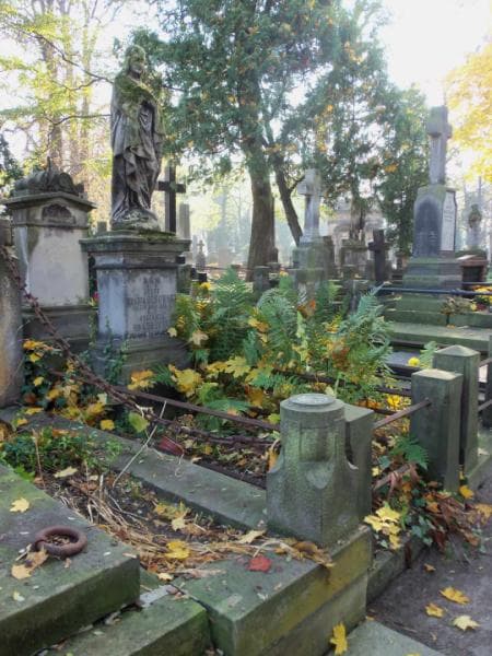 Zdjęcie grobu Józef Gurowski (1)