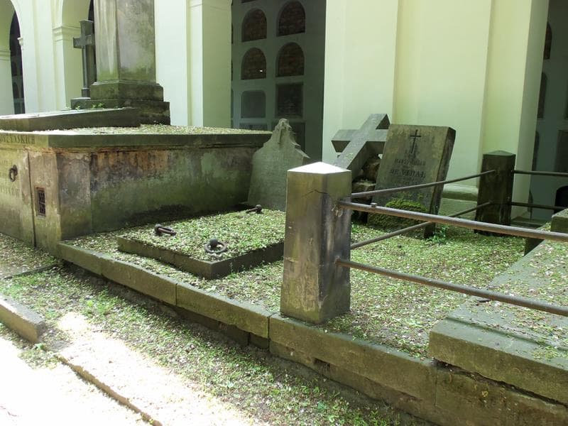 Zdjęcie grobu Ludwik De Vidal (1)