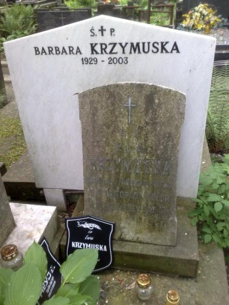 Zdjęcie grobu Feliks Krzymuski (2)