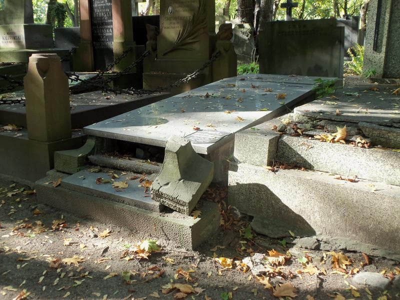 Zdjęcie grobu Henryk Drzewiński (2)