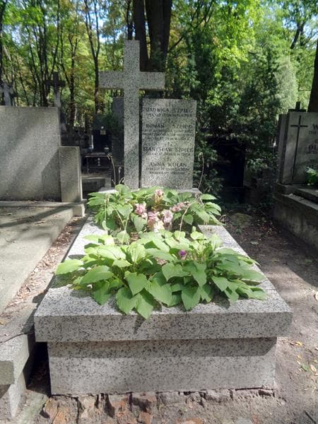Zdjęcie grobu Anna Wolan (1)