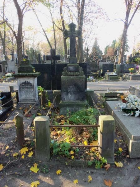 Zdjęcie grobu: Bronisława Przedworska