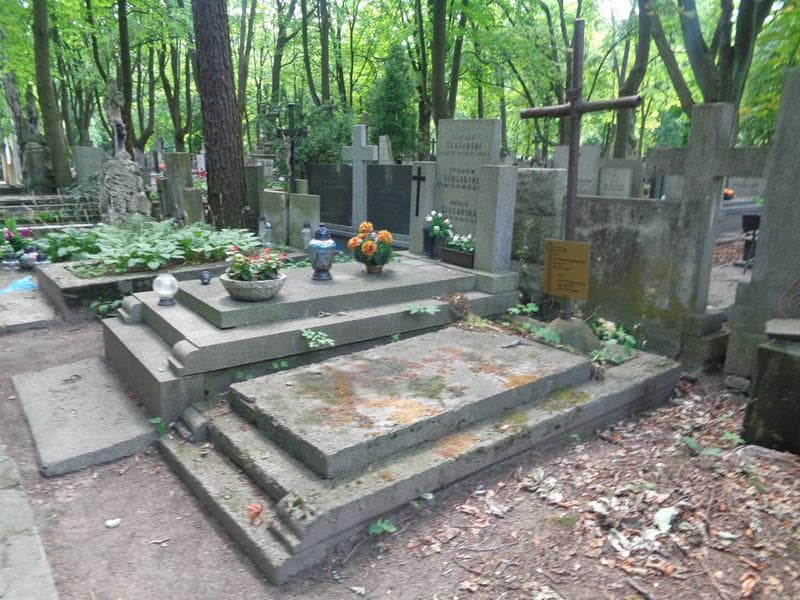 Zdjęcie grobu: Bronisław Przybyszewski