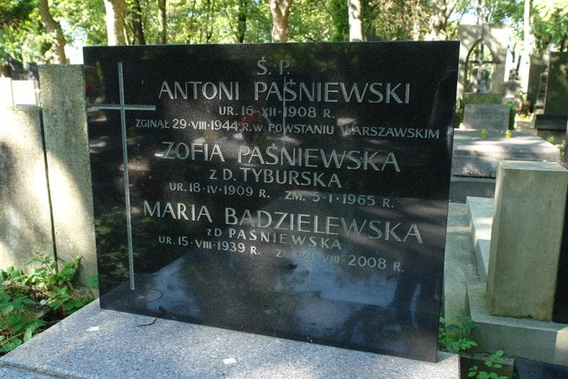 Zdjęcie grobu Antoni Paśniewski (2)