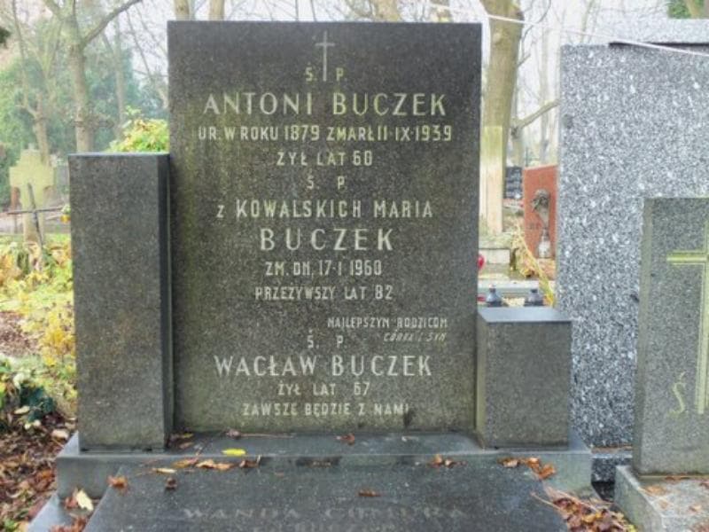 Zdjęcie grobu Antoni Buczek (2)