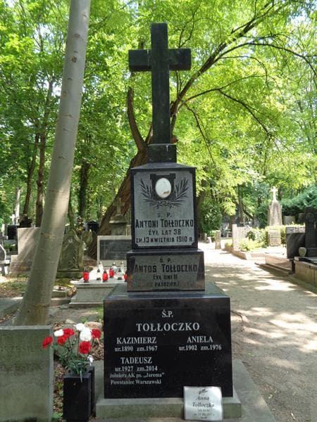 Zdjęcie grobu Tadeusz Tołłoczko (2)