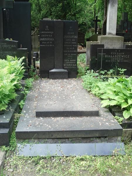 Zdjęcie grobu Jadwiga Jarosińska (1)