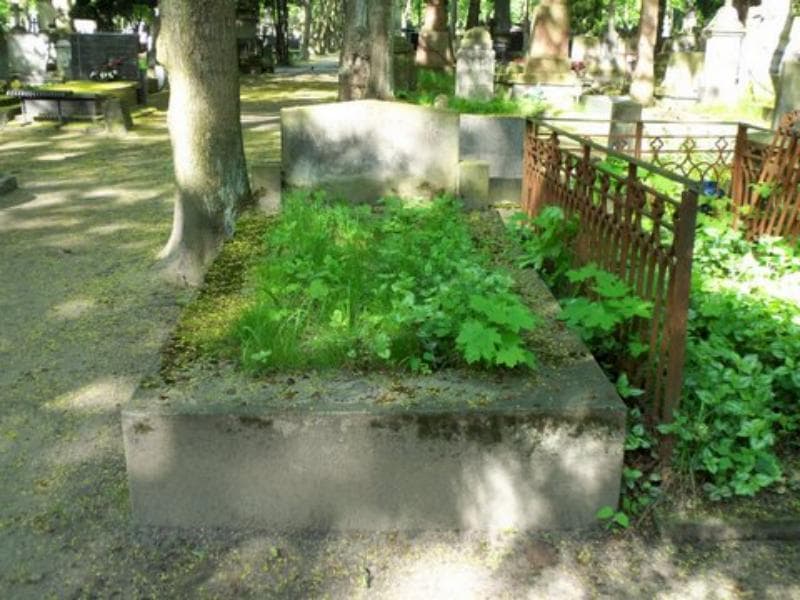 Zdjęcie grobu: Henryk Jacuński