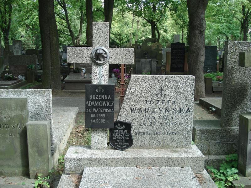 Zdjęcie grobu Józefa Warzyńska (2)