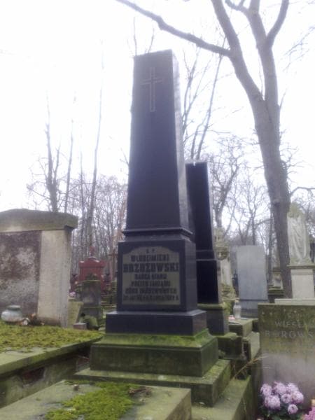 Zdjęcie grobu Włodzimierz Brzozowski (1)