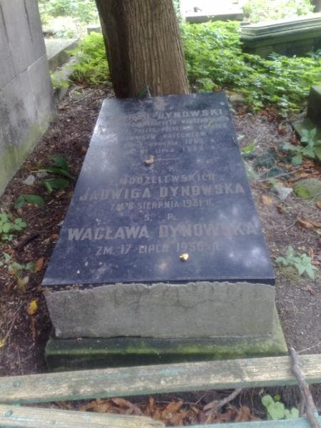 Zdjęcie grobu Jadwiga Dynowska (1)