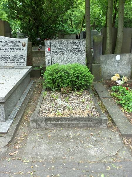 Zdjęcie grobu: Ania Rzewuska