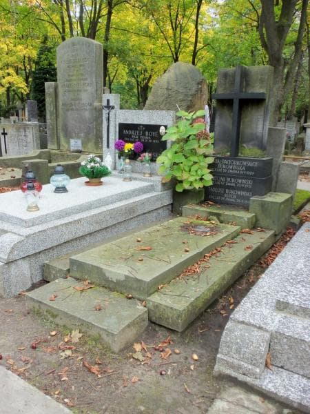 Zdjęcie grobu Tadeusz Bukowiński (1)