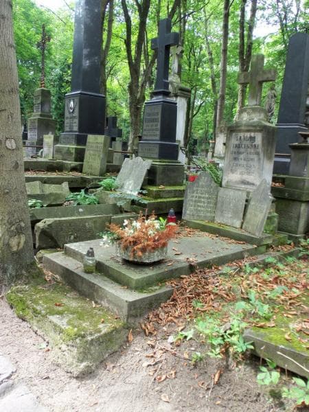 Zdjęcie grobu Henryk Trzciński (1)