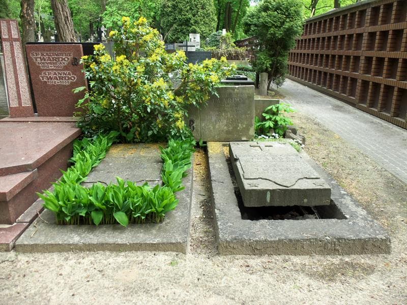 Zdjęcie grobu: Władysław Twardo