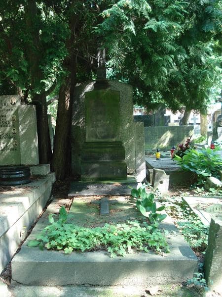 Zdjęcie grobu: Bronisław Tański