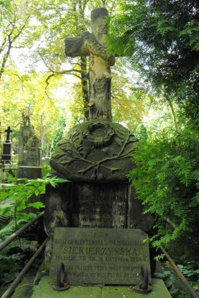 Zdjęcie grobu Jan Przegaliński (2)