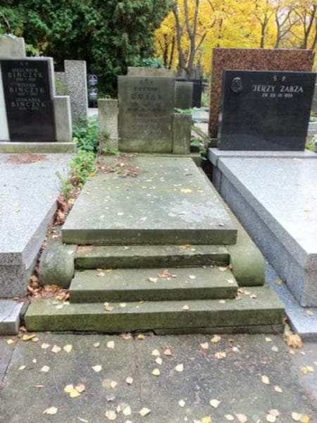Zdjęcie grobu: Edmund Bujak