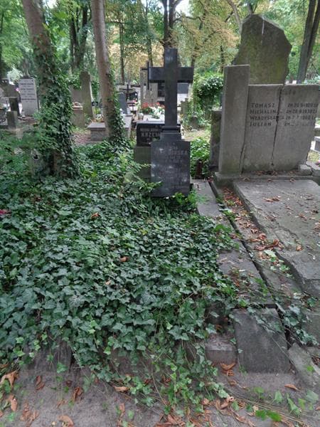 Zdjęcie grobu Helena Janina Krzemińska (1)