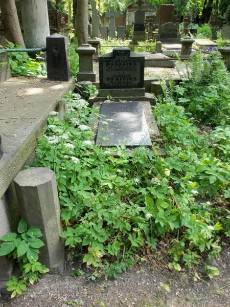 Zdjęcie grobu: Wilhelm Pfaffius