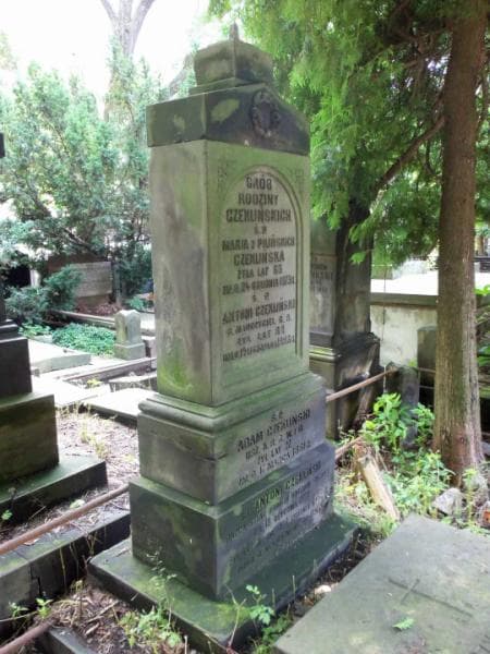 Zdjęcie grobu Antoni Czekliński (2)