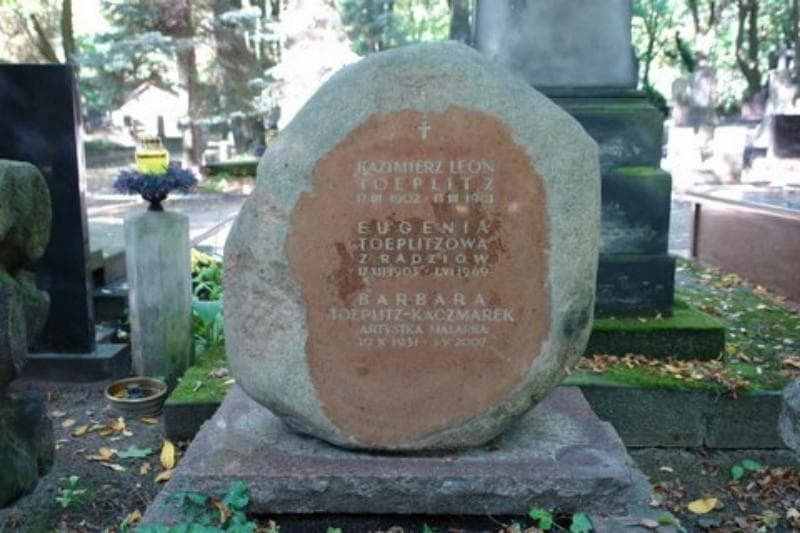 Zdjęcie grobu Kazimierz Leon Toeplitz (2)