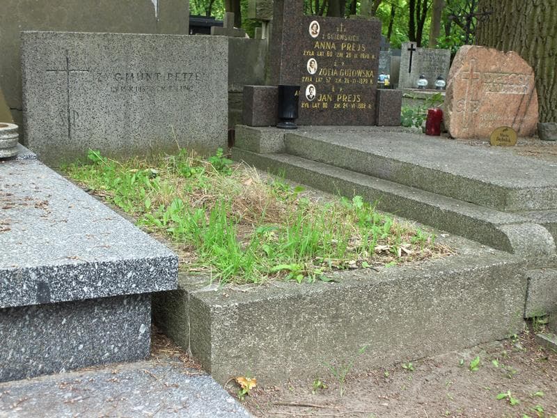 Zdjęcie grobu Zygmunt Petzel (1)