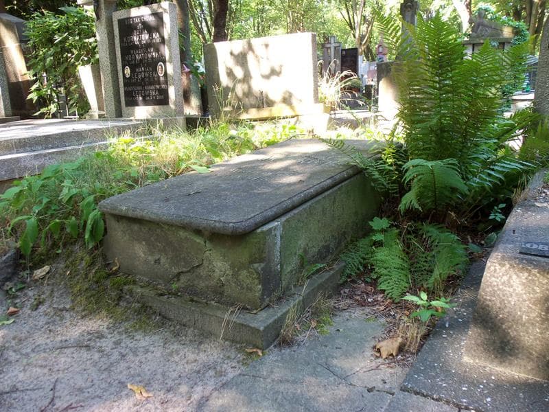 Zdjęcie grobu Natalja Chańska (2)