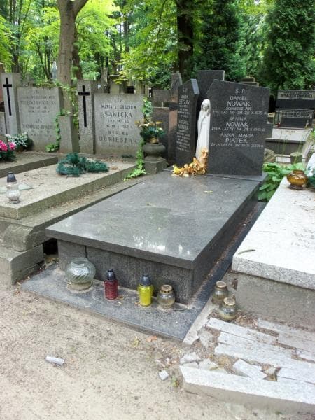 Zdjęcie grobu Janina Nowak (1)