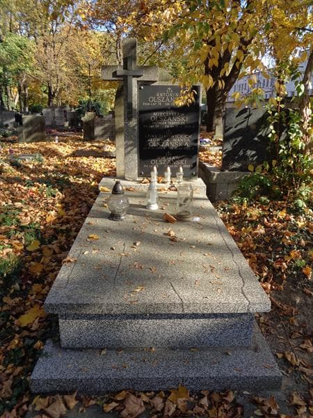 Zdjęcie grobu Antonina Olszańska (1)