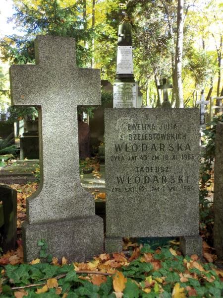 Zdjęcie grobu Ewelina Julia Włodarska (2)