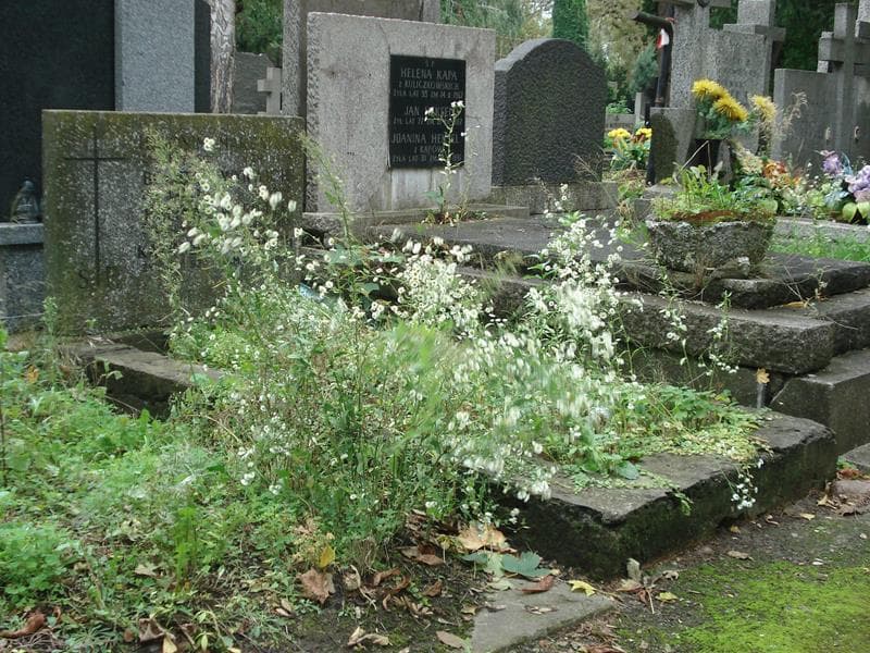 Zdjęcie grobu Bogdan Wyrwich (1)