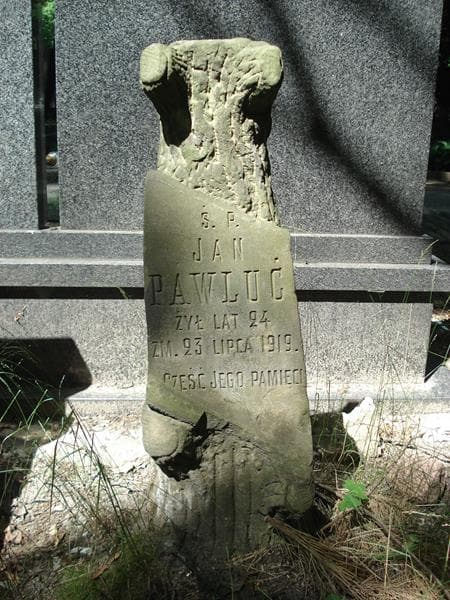 Zdjęcie grobu Jan Pawluć (1)