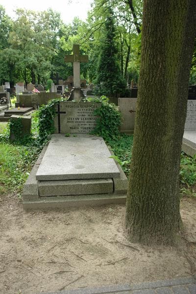Zdjęcie grobu Maria Sękowska (1)