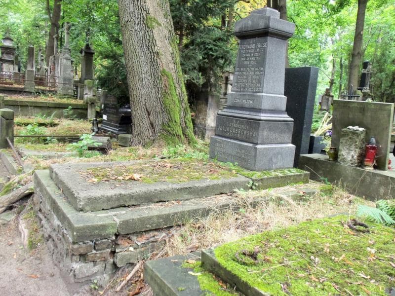 Zdjęcie grobu Ferdynand Friese (1)