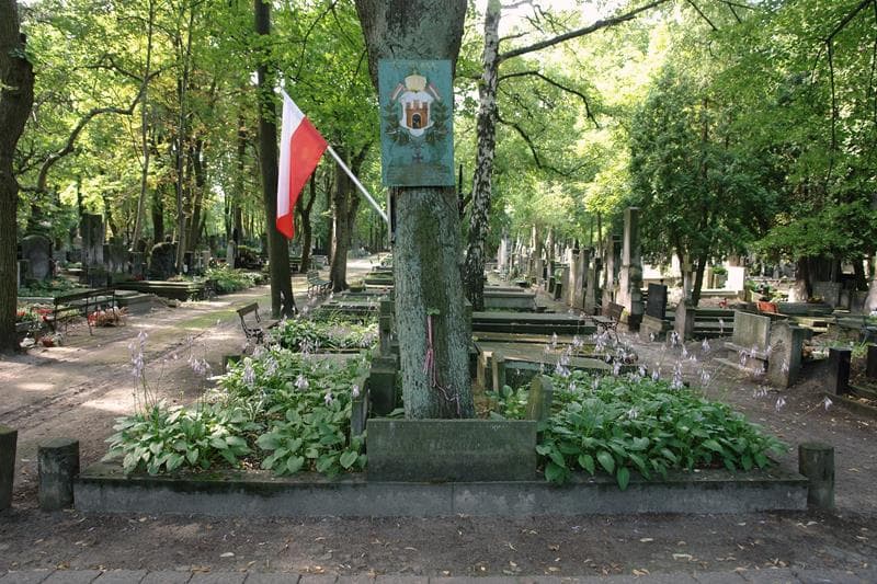 Zdjęcie grobu ... ... (1)