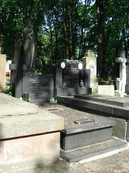 Zdjęcie grobu Krystyna Strzechowska (1)