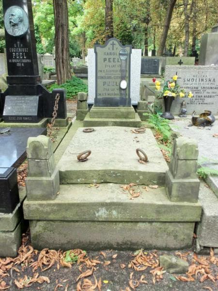 Zdjęcie grobu: Stanisława Peel