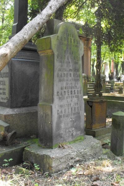 Zdjęcie grobu Staś Caderski (2)