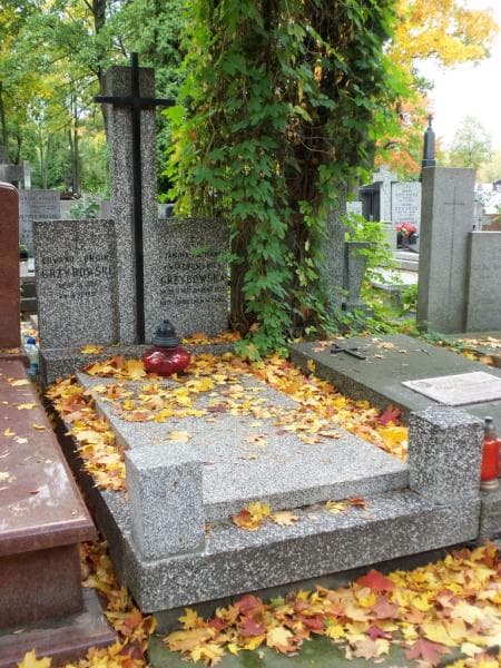 Zdjęcie grobu Edward Longin Grzybowski (1)