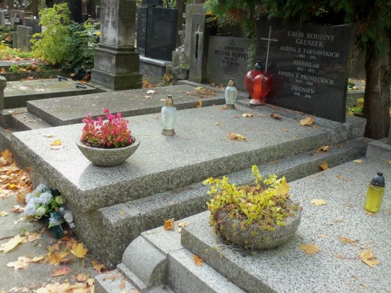 Zdjęcie grobu Albina Głuszek (1)