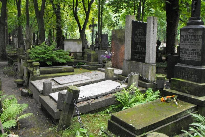 Zdjęcie grobu: Janina Orzeł